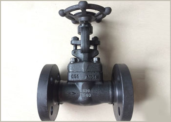 alloy steel 4630 forged valves manufacturer