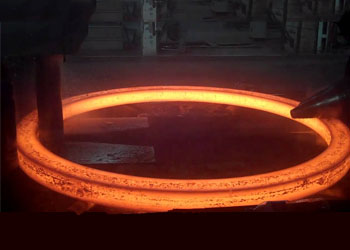 carbon steel 1025 forging manufacturer