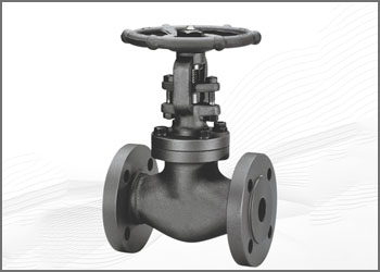 stainless steel 310 forged valves manufacturer