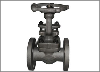 nitronic 60 forged valves manufacturer