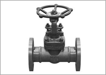 stainless steel 17-4PH forged valves manufacturer